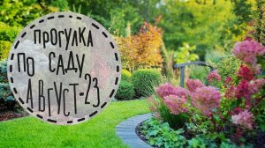Осваиваю рубанок приподнятая клумба для черешни проблемы с новыми стульями какой декор выбрать