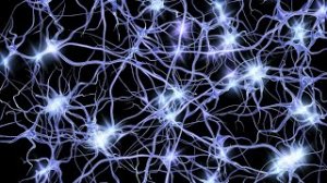 ??Очистка Памяти, синхронизация со Вселенной, Чистота мыслей Лучше видно будущее?