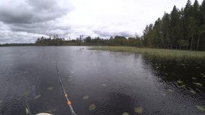 Почти Живая ЛЯГУШКА Для Щуки. Ловля Щуки На Лягушку.