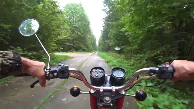 ЭТО ШОК.ЛИСИЧКИ РАСТУТ БОЛЬШИМИ ПОЛЯНАМИ.Сбор грибов в Калужской области. смотреть онлайн