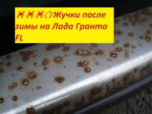 ????Жучки после зимы на Лада Гранта FL