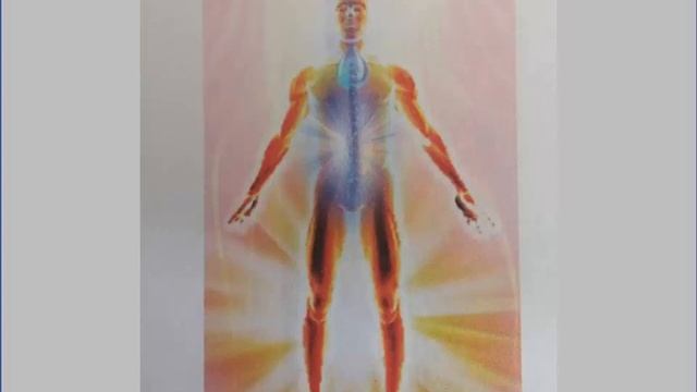 Учение Аркадия Петрова Древо Жизни Зодиакальные лучи Орфический луч смотреть онлайн