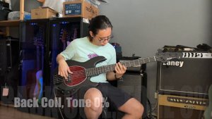 SoundCheck! Thoamnn Harley Benton MB-5 SBK Deluxe Series Bass Quick demo (No talking)