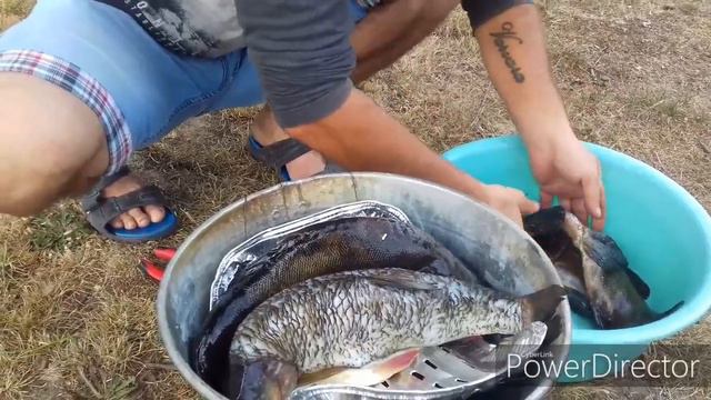 КОПЧЕНИЕ ЛИНЯ. НЕВЕРОЯТНО ВКУСНО. 4.08.2019 Польша.Требишево.HD 720p