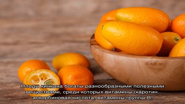 Что такое кумкват смотреть онлайн