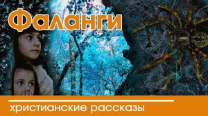 ИНТЕРЕСНЫЙ ХРИСТИАНСКИЙ РАССКАЗ "Фаланги" | Христианские рассказы