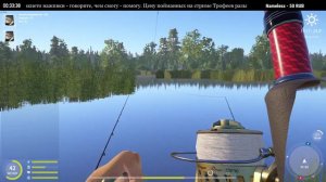 🔴Russian Fishing 4 Разыгрываю стоимость каждого пойманного на стриме трофея, дороже 100 серебра.