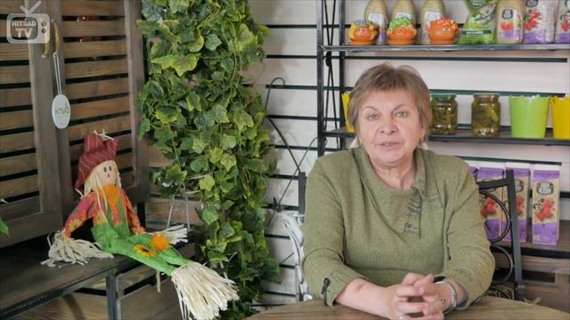 Яровой чеснок ➡ отличия от озимого ✅ Какой лучше? смотреть онлайн