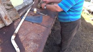 Ушной клещ у кроликов - ЛЕЧЕНИЕ