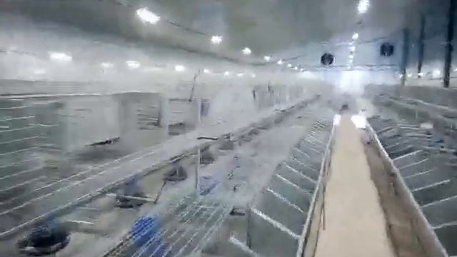 Кроликоферма на 720 самок монтаж оборудования. Добавлены гнёзда на втором этаже