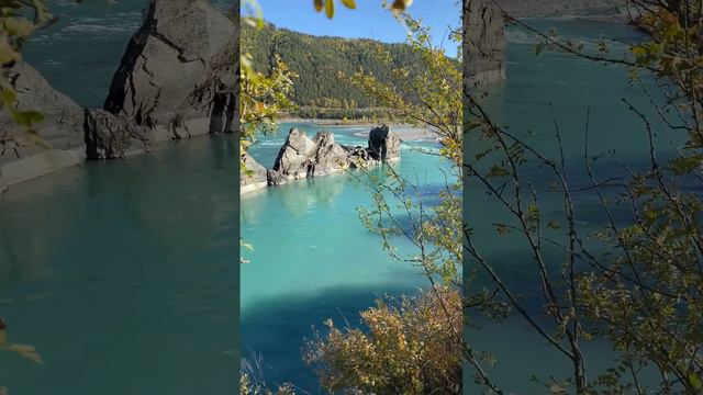 🐉 Зубы дракона на Алтае! Скалы на реке Катунь, форма которых напоминает спину или зубы дракона.