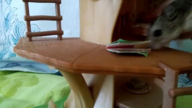 Рум тур по домик хомяка. ?? смотреть онлайн