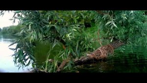 28 июля 2023 г.