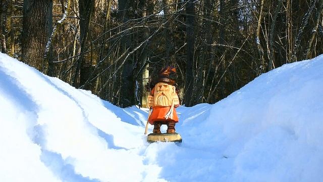 Прилукский биологический заказник в Беларуси