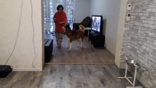 Байкал пошел в разнос смотреть онлайн