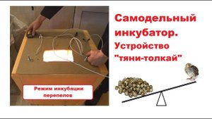 Самодельный инкубатор: устройство "тяни-толкай". Режим инкубации перепелов.