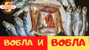 ВОБЛА  2022 | ДВЕ ПАРТИИ ВЯЛКИ- СРАВНЕНИЕ