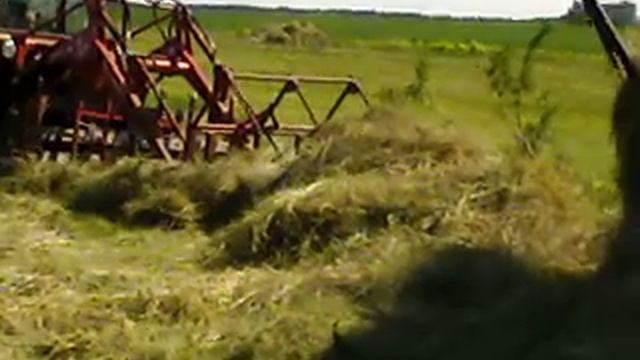 Т25 с куном смотреть онлайн