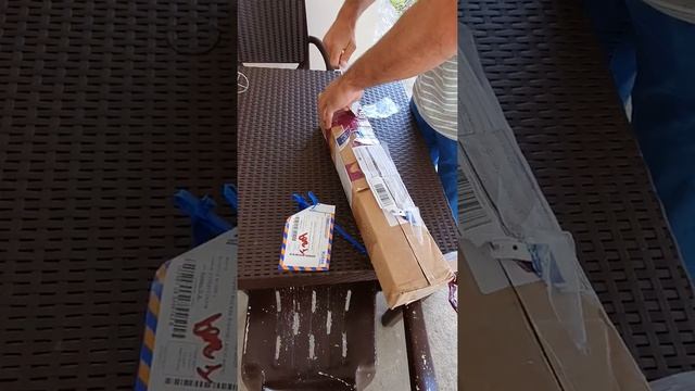 Ежевика сорт Понка и чёрная малина сорт Нивод. смотреть онлайн