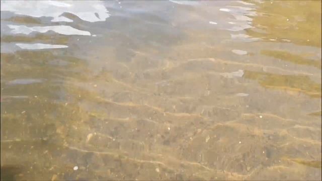 КУПАЛИСЬ В ХОЛОДНОЙ РЕКЕ +10°. ОБЗОР ДАЧИ. ПЕРЕКРЫТИЕ ДОРОГИ) смотреть онлайн