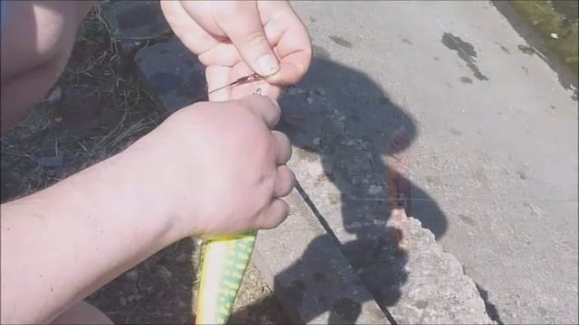 Джеркбейты BALTIC WINGS BAIT смотреть онлайн