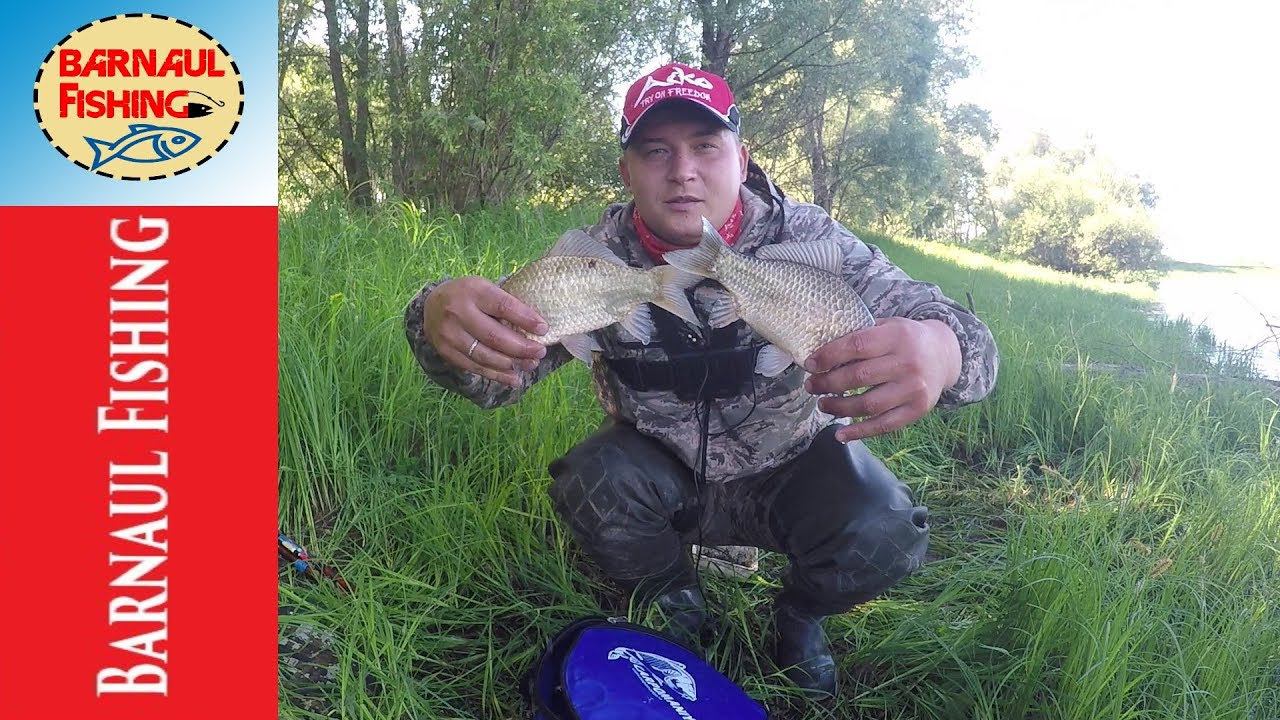 Отчет по карасю!!Как мы,поехали за щукой,а поймали карася.
