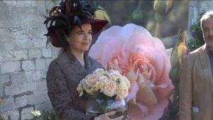 La rose Amélie Nothomb