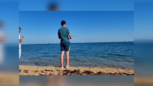 Rockfishing с берега. Ловля ставриды! и Трофейный Горбыль!