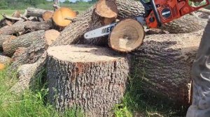 Echo CS-550P - Stock vs Ported