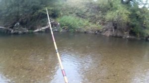 Как ловить голавля. Поклевки Голавля на кренки и калебалочки. #какловитьголавля#голавль#рыбалка#chu