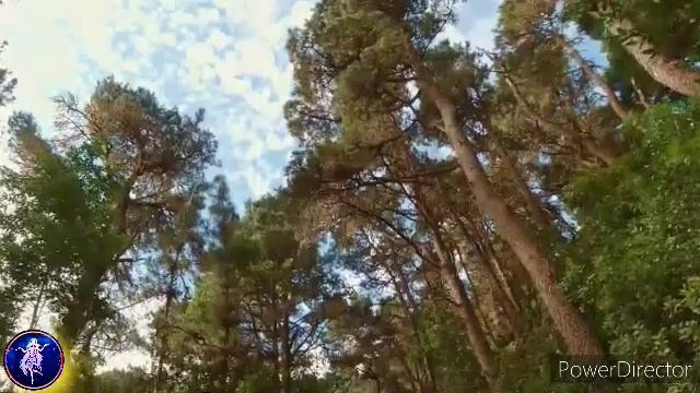 4 САМЫХ ЗЛОПАМЯТНЫХ ЗНАКА ЗОДИАКА смотреть онлайн