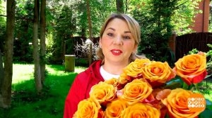 Выращиваем розы из старых черенков. Доброе утро. Суббота. Фрагмент выпуска от 04.06.2022