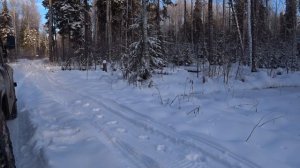 Уехал в лес.. Обзор охотничьей избы. Это я удачно зашел!