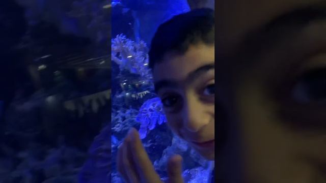 21 октября 2023 г. смотреть онлайн