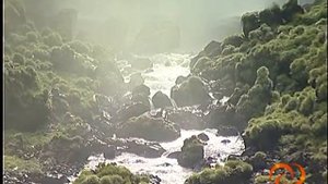 Foz do Iguacu. Национальный парк Игуасу (Parque Nacional do Iguaçu) 1/3