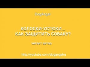 Колоски устюки. Как защитить собаку (аудио)