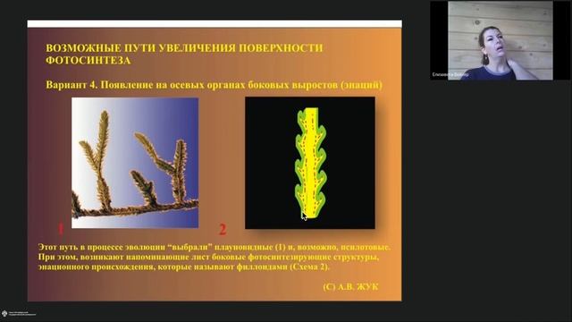 Онлайн-школа СПбГУ 2022/2023. 7 класс. Биология. 03.12.2022 смотреть онлайн