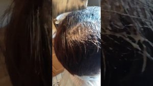 Окрашивание коротких седых волос дома. Стрижка!!!