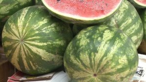 Санитарные врачи рассказали, где арбузы лучше не покупать. Панорама 5 июля 2024