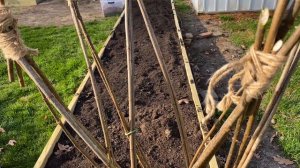 Moving Clematis + Homemade Leaf mulch + Sweet Peas 🐝 🐸 🌻  Gardening at Home