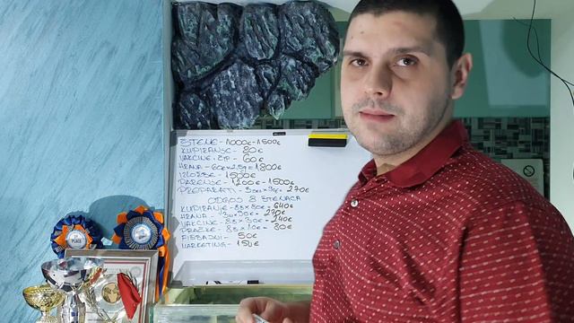 #Tema 1 Moze da se zaradi od jednog psa!! (Doberman) PART 1 смотреть онлайн