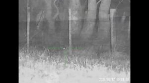 Sytong HT60 LRF Night Shoot