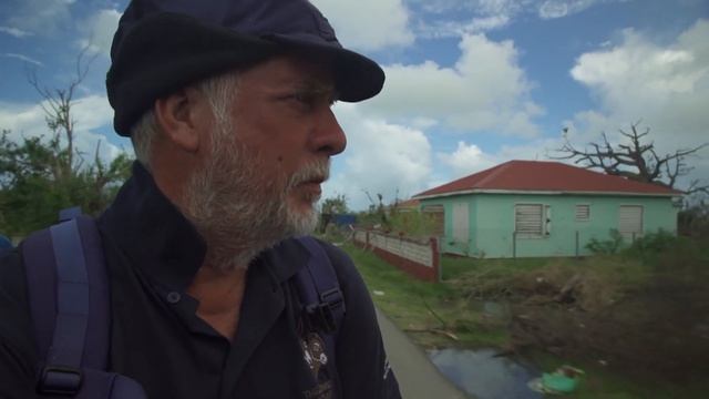Barbuda, l'enfer sur terre pour nos amis canins смотреть онлайн