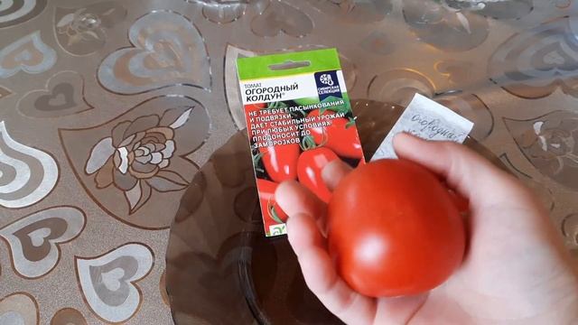 "Огородный колдун" - дёшево, урожайно и очень вкусно! Собираю семена любимых томатов 2022 года! смотреть онлайн