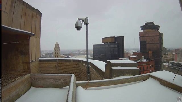 Camera 4 - 01/16/24 смотреть онлайн