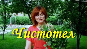 Чистотел