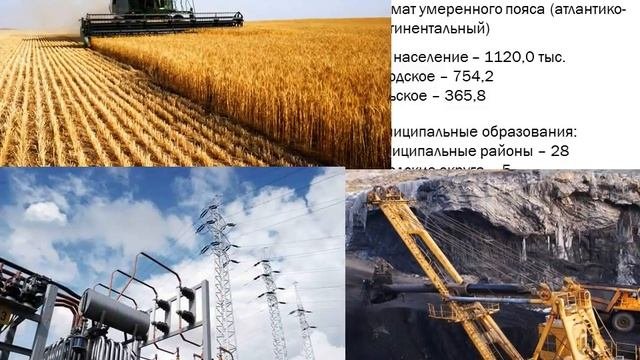 Центрально черноземный район
