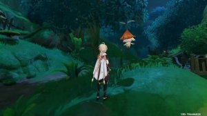 Аранара-собиратель - чаща Апам - земля Ашаван