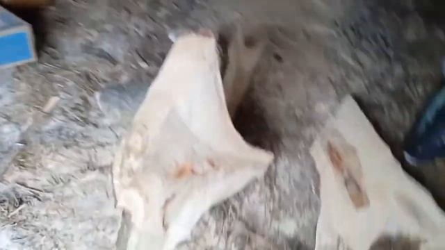 Заготовка досок бензопилой. Слэбы это просто!!! смотреть онлайн