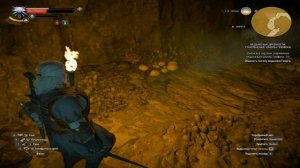 The Witcher 3: Next Gen - Чертежи: Улучшенных Доспехов Школы Грифона